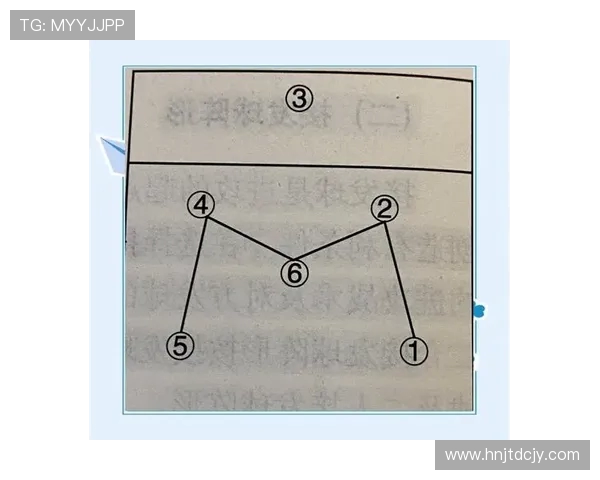 杭州排球队进攻战术解析与球队发展现状探讨